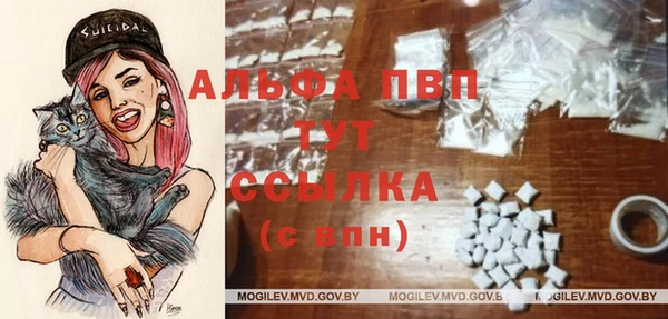 дмт Богородск