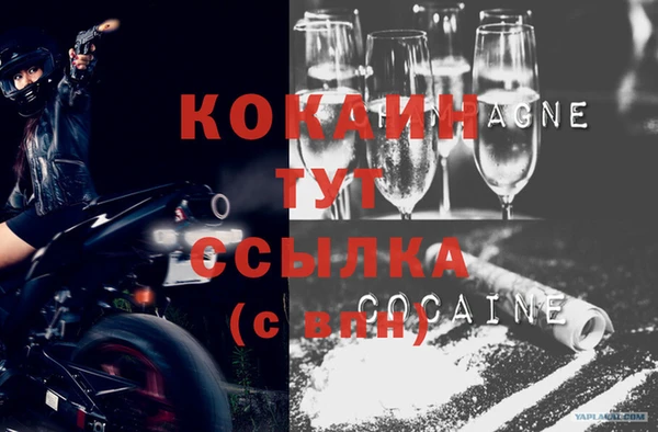 дмт Богородск