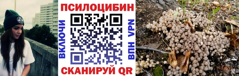 наркота  Трубчевск  mega онион  Псилоцибиновые грибы ЛСД 